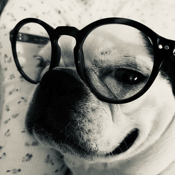 Meet your Posher, Andi Soto Design - Picture 2 of 7